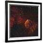 The Jellyfish Nebula-Stocktrek Images-Framed Photographic Print