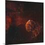 The Jellyfish Nebula-Stocktrek Images-Mounted Photographic Print