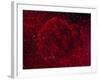 The Jellyfish Nebula-Stocktrek Images-Framed Photographic Print