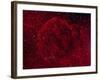 The Jellyfish Nebula-Stocktrek Images-Framed Photographic Print