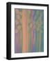 The Jellyfish-Maryse Pique-Framed Giclee Print