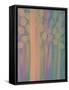 The Jellyfish-Maryse Pique-Framed Stretched Canvas