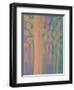 The Jellyfish-Maryse Pique-Framed Premium Giclee Print