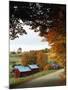 The Jenne Farm in Fall, Reading, Vermont, USA-Walter Bibikow-Mounted Photographic Print