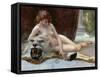 The Jewel Case-Guillaume Seignac-Framed Stretched Canvas