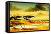 The Jewel of Hlubluwe, South Africa, 1996-Andrew Hewkin-Framed Stretched Canvas