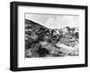 The Jewish Colony of Rosch Pinah, c.1900-null-Framed Giclee Print