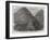 The Job's Hill and Pembroke Copper-Mines, Recently Discovered in Jamaica-null-Framed Giclee Print