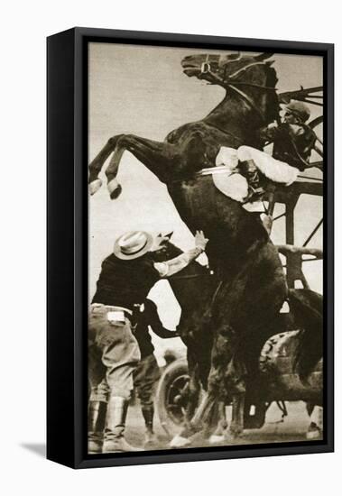 The Jockey Herbert Loses Control of His Horse at the Start of a Race in New York-null-Framed Stretched Canvas
