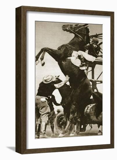 The Jockey Herbert Loses Control of His Horse at the Start of a Race in New York-null-Framed Giclee Print