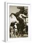 The Jockey Herbert Loses Control of His Horse at the Start of a Race in New York-null-Framed Giclee Print