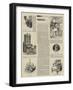 The John Hunter Centenary-null-Framed Giclee Print