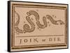 The Join Or Die Print Was a Political Cartoon Created by Benjamin Franklin-Stocktrek Images-Framed Stretched Canvas