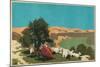 The Jordan Valley, from the Series 'Buy Jaffa Oranges'-Frank Newbould-Mounted Giclee Print
