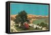 The Jordan Valley, from the Series 'Buy Jaffa Oranges'-Frank Newbould-Framed Stretched Canvas