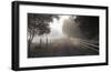 The Journey-P^t^ Turk-Framed Giclee Print