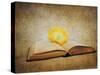 The Joy of Reading-Jai Johnson-Stretched Canvas