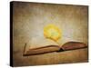 The Joy of Reading-Jai Johnson-Stretched Canvas