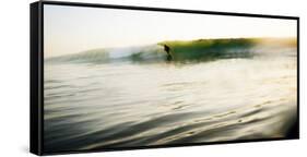 The Joy of Surfing-Daniel Kuras-Framed Stretched Canvas