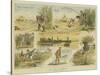 The Joys of Angling-Charles Edwin Fripp-Stretched Canvas