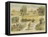 The Joys of Angling-Charles Edwin Fripp-Framed Stretched Canvas