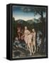 The Judgement of Paris, 1527-Lucas, The Elder Cranach-Framed Stretched Canvas
