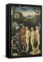 The Judgement of Paris, 1528-Lucas Cranach the Elder-Framed Stretched Canvas