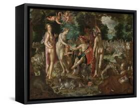 The Judgement of Paris, 1615-Joachim Wtewael-Framed Stretched Canvas