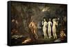 The Judgement of Paris, 1620-1630-Francesco Albani-Framed Stretched Canvas