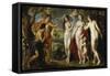 The Judgement of Paris, 1638/39-Peter Paul Rubens-Framed Stretched Canvas