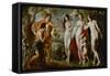 The Judgement of Paris, 1639-Peter Paul Rubens-Framed Stretched Canvas