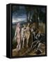 The Judgement of Paris, C.1620-Christian Richter-Framed Stretched Canvas