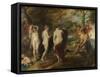 The Judgement of Paris, C. 1635-Peter Paul Rubens-Framed Stretched Canvas