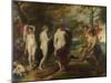 The Judgement of Paris, C. 1635-Peter Paul Rubens-Mounted Giclee Print