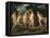 The Judgement of Paris, Ca 1606-Peter Paul Rubens-Framed Stretched Canvas