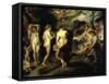 The Judgement of Paris-Peter Paul Rubens-Framed Stretched Canvas