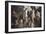 The Judgement of Paris-Anselm Feuerbach-Framed Giclee Print