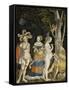 The Judgement of Paris-Niklaus Manuel I Deutsch-Framed Stretched Canvas