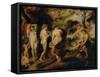 The Judgement of Paris-Peter Paul Rubens-Framed Stretched Canvas