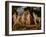 The Judgement of Paris-Peter Paul Rubens-Framed Giclee Print