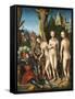 The Judgment of Paris by Lucas Cranach the Elder-null-Framed Stretched Canvas