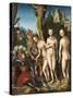 The Judgment of Paris by Lucas Cranach the Elder-null-Stretched Canvas