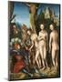 The Judgment of Paris by Lucas Cranach the Elder-null-Mounted Giclee Print