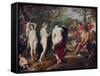 The Judgment of Paris, C1635-1638-Peter Paul Rubens-Framed Stretched Canvas