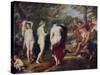 The Judgment of Paris, C1635-1638-Peter Paul Rubens-Stretched Canvas