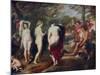 The Judgment of Paris, C1635-1638-Peter Paul Rubens-Mounted Giclee Print