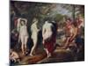 The Judgment of Paris, C1635-1638-Peter Paul Rubens-Mounted Giclee Print