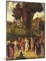 The Judgment of Solomon-Giorgione-Mounted Giclee Print