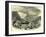 The Jungfrau from Interlachen Switzerland-null-Framed Giclee Print