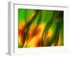 The Jungle-Ursula Abresch-Framed Photographic Print